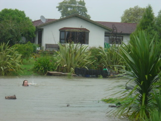 flood swimmer 290307b1